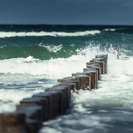 Apartment Meeresrauschen Graal-Mueritz