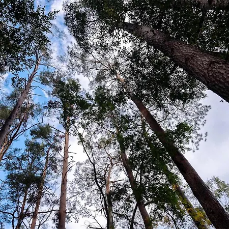 Apartment Meeresrauschen Graal-Mueritz