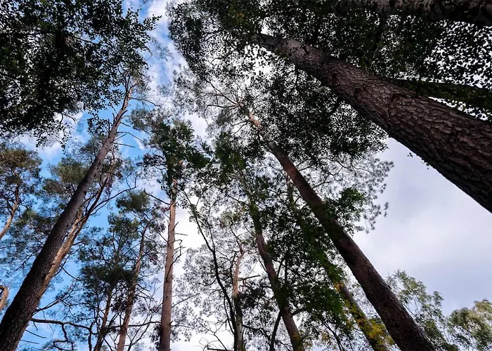Lägenhet Meeresrauschen Graal-Mueritz